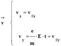 Vecteur v