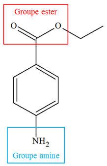 benzocane (4-aminobenzoate dthyle)