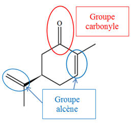 carvone