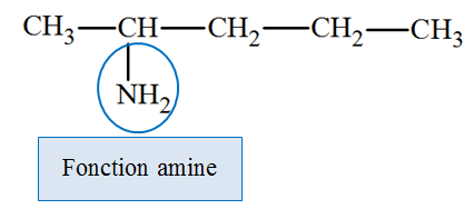 Pentan-2-amine