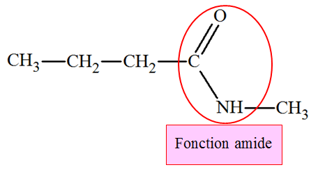 N-mthylbutanamide