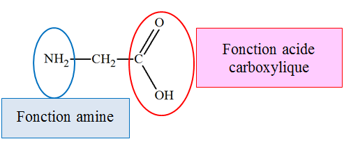 glycine
