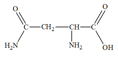 Asparagine