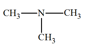 N,N-dimthylmthanamine