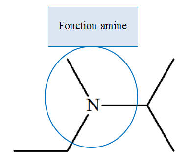 N-mthyl-N-thylpropan-2-amine
