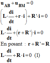 équation différentielle