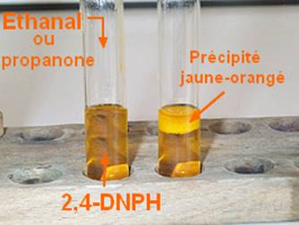 test DNPH