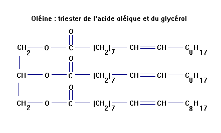 oline : triester de l'acide olique et du glycrol
