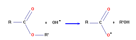 saponification