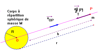 schma