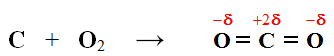 réaction entre le dioxygène et le carbone