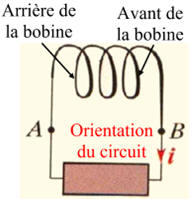 bobine