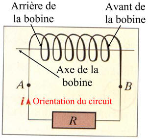 bobine