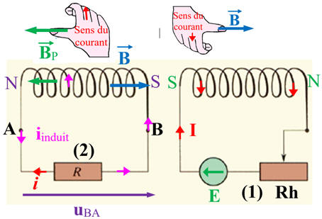 schma et oreintation