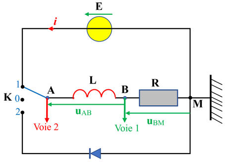 circuit RL