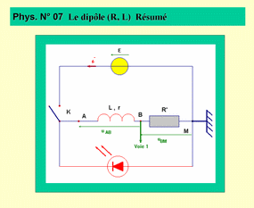 diple RL