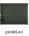 parabil